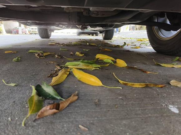 [佛山·粤E] 二手日产奇骏2019款 2.0L CVT智联舒适版 2WD