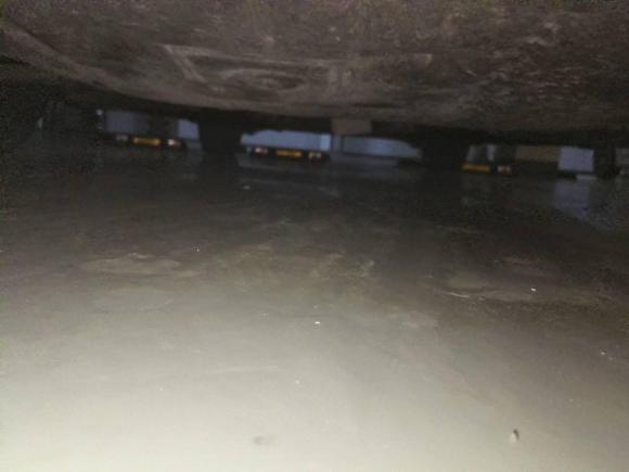 [嘉兴·浙F] 二手MINIMINI2014款 2.0T COOPER S Fun