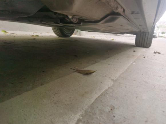 [嘉兴·浙F] 二手大众T-ROC探歌2019款 230TSI DSG两驱进取型 国VI