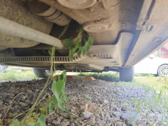 [北京·吉A] 二手大众捷达2016款 1.6L 25周年纪念版