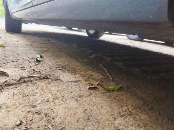 [苏州·苏F] 二手奇瑞艾瑞泽52016款 1.5L CVT领潮版