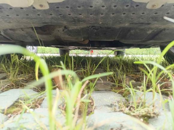 [青岛·鲁U] 二手铃木锋驭2014款 1.6L CVT两驱精英型