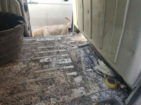 [常州·苏D] 二手开瑞优优2021款 1.5L基本型加长盲窗厢货2座DAM15KR