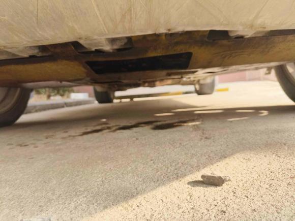 [青岛·鲁B] 二手福特翼虎2013款 1.6L GTDi 四驱精英型