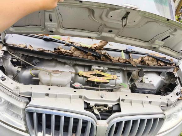 [温州·浙D] 二手金杯金杯T32021款 1.5L 国VI舒适型SWC15M