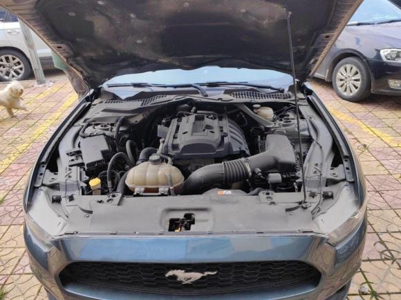 [温州·浙C] 二手福特Mustang2015款 2.3T 性能版