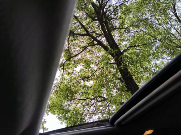 [台州·浙J] 二手日产天籁2008款 2.0L XL舒适版