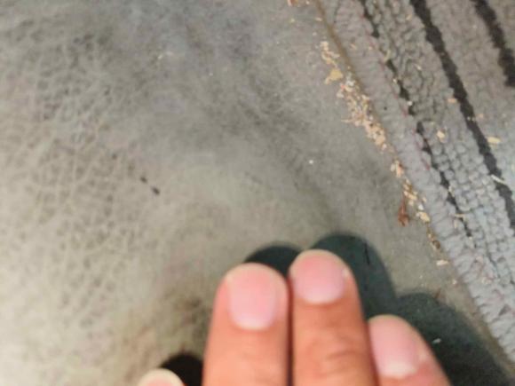 [合肥·皖A] 二手江铃顺达EV2023款 单排液刹 栏板 89.1kwh