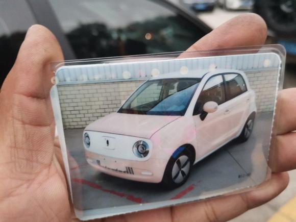 [深圳·粤B] 二手欧拉欧拉黑猫2021款 301km 萌宠版