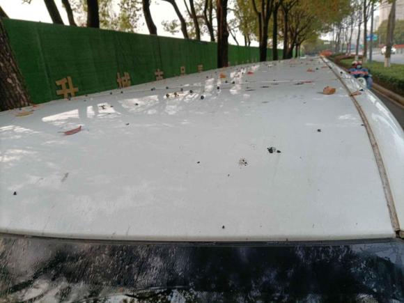 [无锡·苏B] 二手开瑞海豚EV2021款 升级版智享型