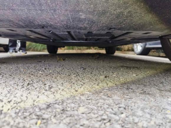 [杭州·浙A] 二手比亚迪海豚2023款 420km 自由版