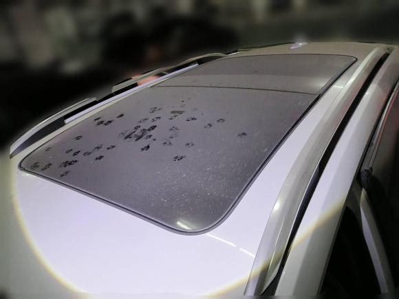 [南京·苏A] 二手荣威荣威RX52018款 20T 两驱手动旗舰版