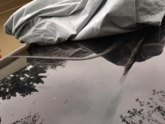 [深圳·粤B] 二手道奇酷威2016款 2.4L 两驱旅行版