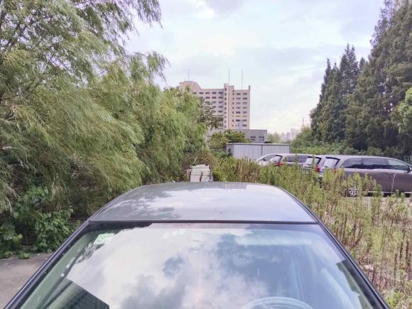 [上海·苏F] 二手本田锋范经典2012款 1.5L 手动舒适版