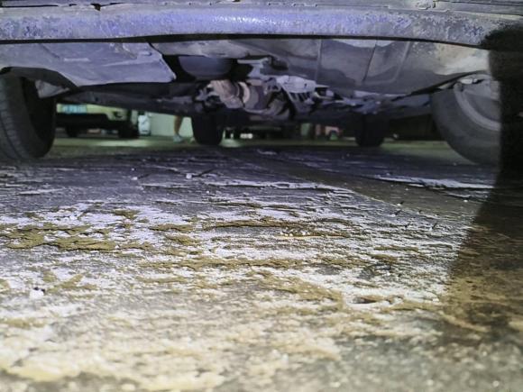 [上海·沪L] 二手本田奥德赛2008款 2.4L 舒适版