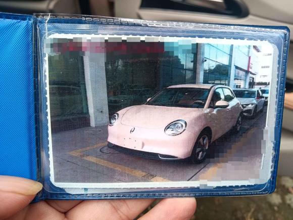 [苏州·苏E] 二手欧拉欧拉好猫2022款 400km标准续航 豪华型 三元锂