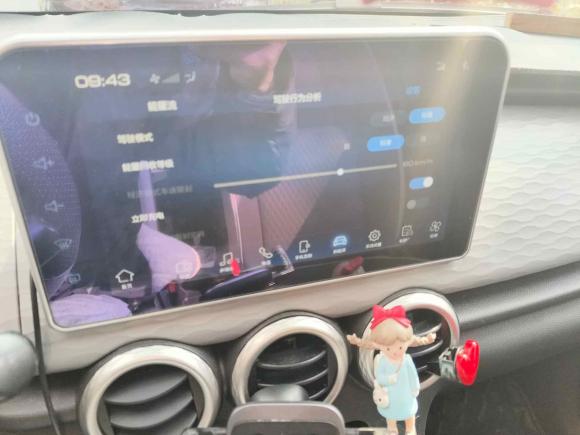 [杭州·浙A] 二手欧拉欧拉黑猫2021款 301km 基础型