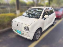 [杭州·浙A] 欧拉欧拉黑猫2021款 301km 基础型