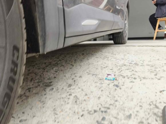 [嘉兴·浙A] 二手哪吒汽车哪吒U2021款 Pro 400 巡航版