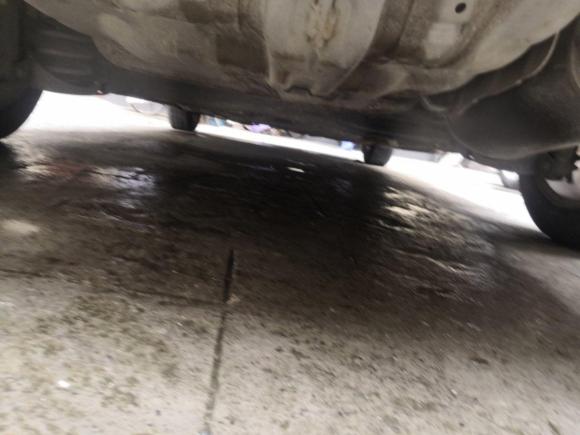 [湖州·浙E] 二手本田锋范经典2008款 1.5L 手动精英版