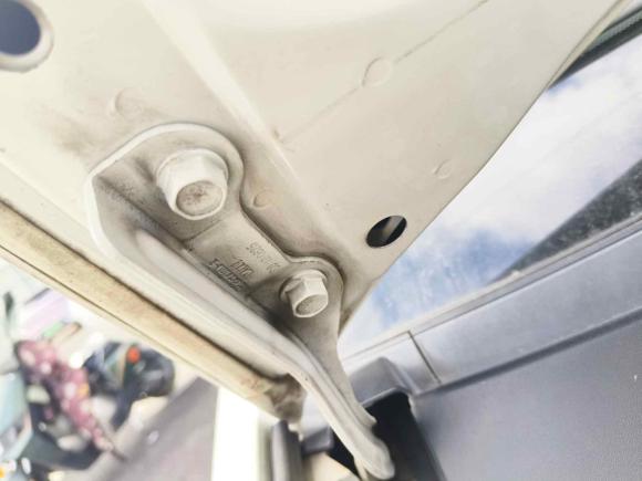 [温州·浙C] 二手欧拉欧拉黑猫2019款 351km 亲子版