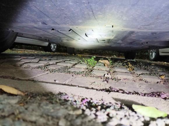 [武汉·鄂A] 二手比亚迪海豚2021款 405km 时尚版