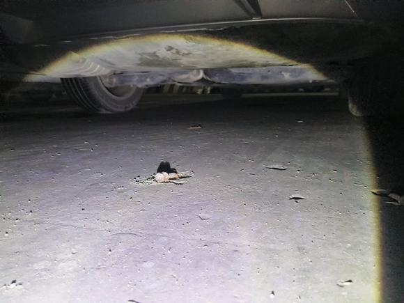 [温州·浙C] 二手大众迈腾2018款 330TSI DSG 领先型