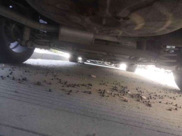 [温州·浙C] 二手比亚迪速锐2016款 1.5L 手动精英型