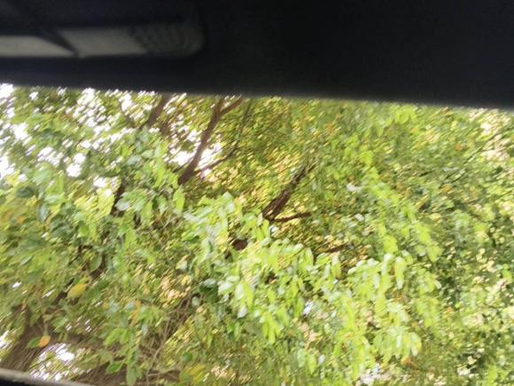 [南京·苏A] 二手奔驰奔驰C级2016款 C 200 运动版