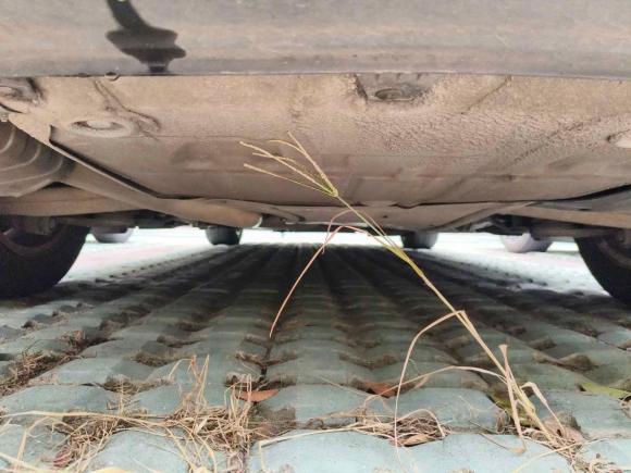 [湖州·浙B] 二手奥迪奥迪A4L2013款 35 TFSI 自动标准型