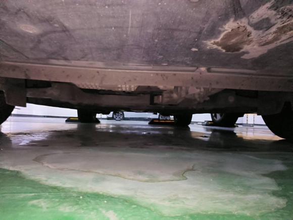 [佛山·粤X] 二手福特福克斯2012款 两厢 1.6L 自动舒适型