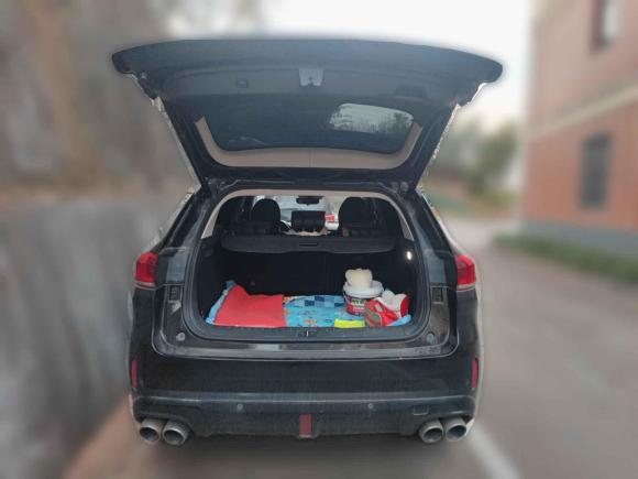 [义乌·浙G] 二手魏牌魏牌 VV62020款 2.0T 两驱智护+