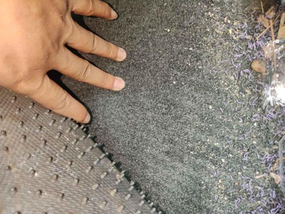 [南通·苏F] 二手马自达马自达22008款 1.5L 自动豪华型