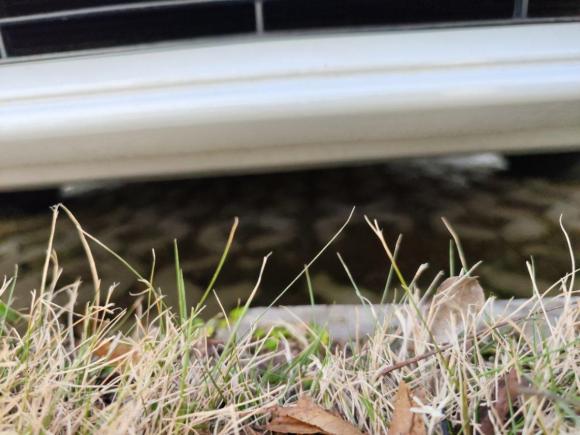 [上海·沪C] 二手比亚迪秦2019款 1.5L 自动豪华型