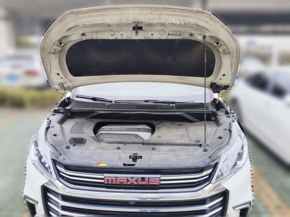 [苏州·苏U] 二手上汽大通MAXUS大通G502019款 1.5T 首发款自动豪华版 6座