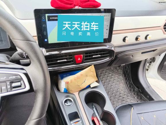 [合肥·皖A] 二手思皓花仙子2021款 302km 豪华型 31.4kWh