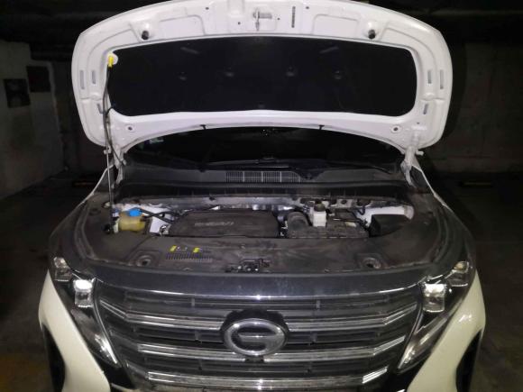 [合肥·皖A] 二手广汽传祺传祺M82023款 领秀系列 390T 豪华版