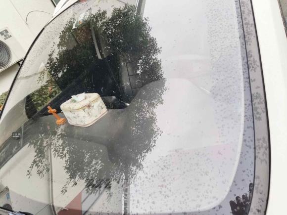 [宁波·浙B] 二手宝骏宝骏7302021款 1.5L 手动时尚型 7座