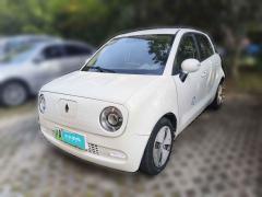 [上海·沪A] 欧拉欧拉黑猫2019款 351km 灵趣版