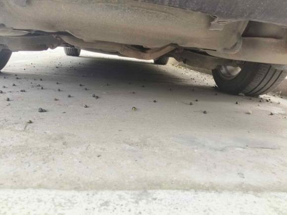 [温州·浙C] 二手马自达马自达62011款 2.0L 自动时尚型