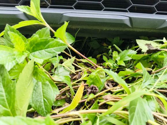 [佛山·湘F] 二手斯柯达柯米克2018款 1.5L 手动舒适版 国V