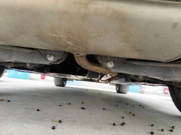 [上海·沪A] 二手领克领克02新能源2021款 1.5T PHEV Pro