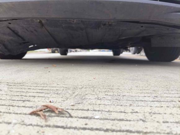 [佛山·粤E] 二手启辰启辰D60EV2020款 标准续航智行版