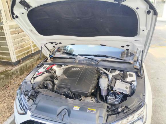 [杭州·浙F] 二手奥迪奥迪A4L2024款 40 TFSI 豪华动感型