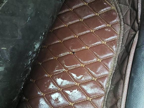 [嘉兴·浙F] 二手大众高尔夫·嘉旅2016款 230TSI 自动进取型