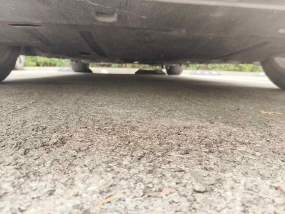 [嘉兴·沪C] 二手福特蒙迪欧2013款 1.5L GTDi180时尚型