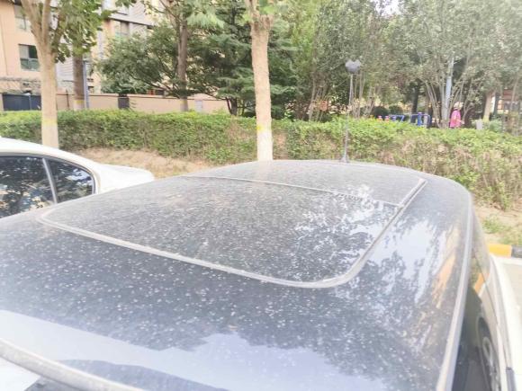 [北京·津A] 二手MINIMINI2012款 1.6L COOPER Baker Street