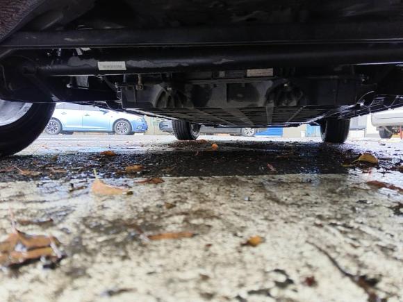 [常州·苏D] 二手新特汽车SITECH DEV 12018款 创睿版