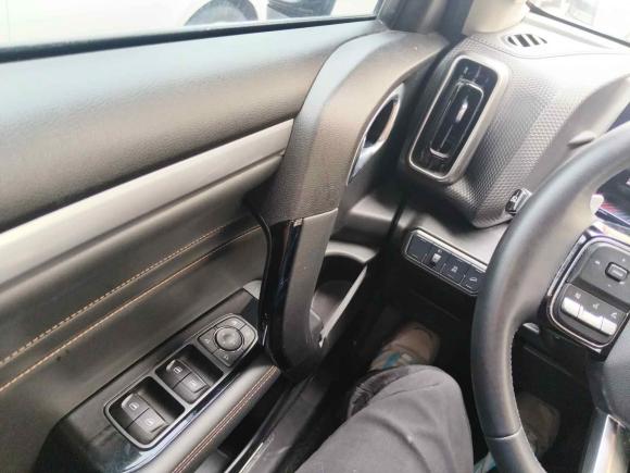 [合肥·皖A] 二手哈弗哈弗大狗2021款 1.5T DCT两驱边牧-旺财版