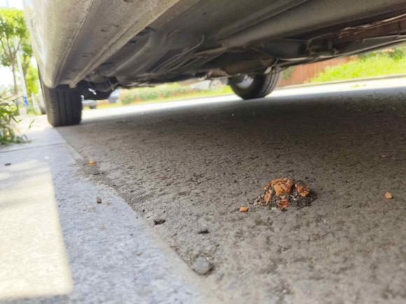 [宁波·皖A] 二手大众朗逸2015款 1.6L 手动风尚版